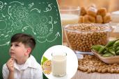 New research finds that isoflavones in soybeans and soy products can enhance attention and processing speed in school-aged kids.