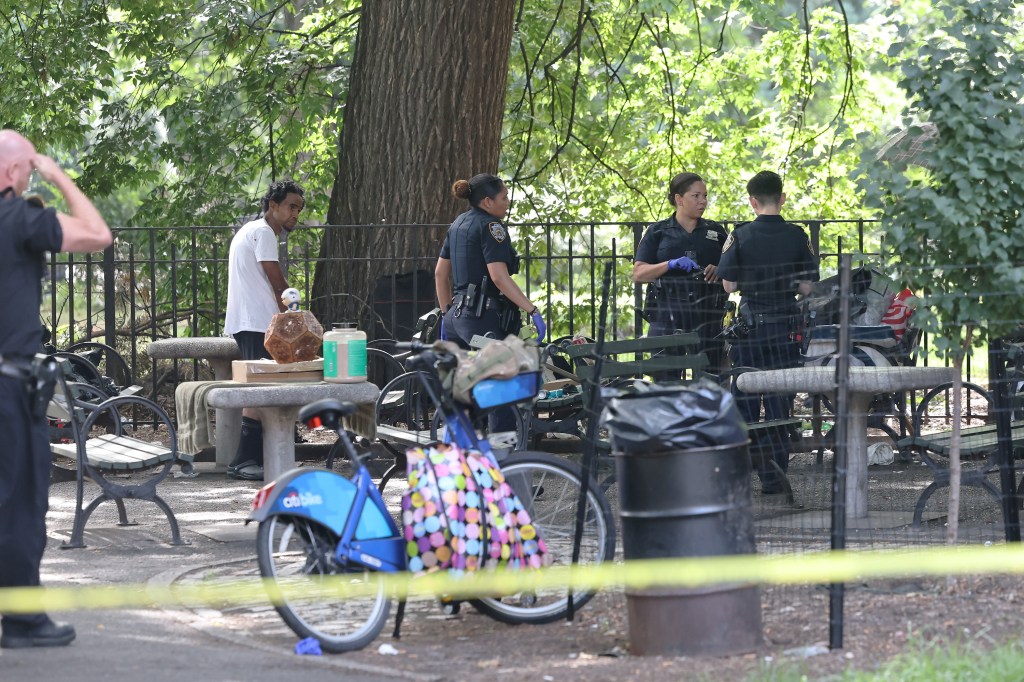 NYPD 9th pct officers and witnesses at the scene of a shooting in Tompkins Square Park