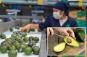 Mexican cartel violence could drive up prices of avocados in the US