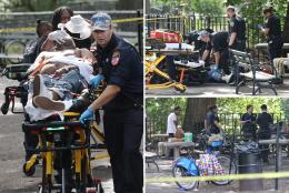 Elderly man, 74, killed in broad-daylight, drug-related shooting in NYC park: cops