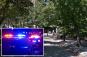 Man, 42, slashed multiple times in Central Park after getting into argument: cops