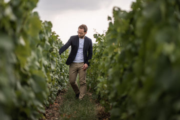 Tasting with Émilien Boutillat, Chef du Cave of Piper-Heidsieck