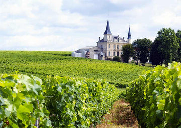 Wine Class: Bordeaux Through the Years