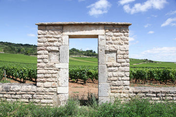 Wine 101 Class: Wonderful White Burgundy