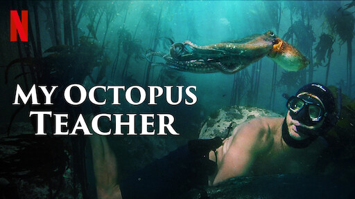 My Octopus Teacher