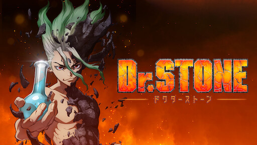 Dr. Stone