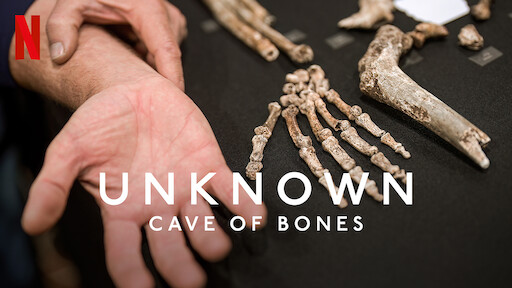 Unknown: Cave of Bones