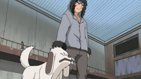 Watch Akamaru Unleashed! Who's Top Dog Now?. Episode 18 of Season 2.