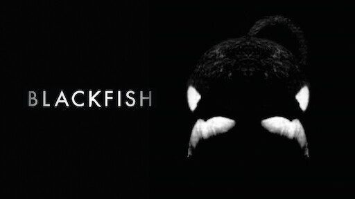 Blackfish