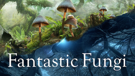 Fantastic Fungi