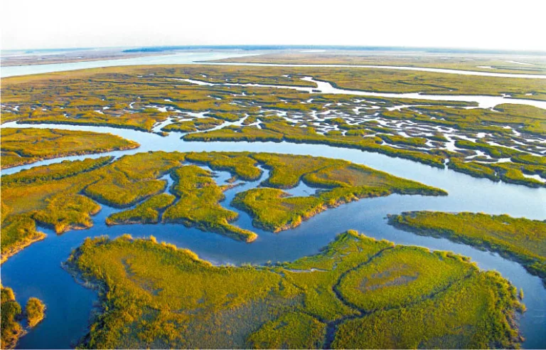 Coastal marsh at sunrise. Credit: Georgia Department of Natural Resources