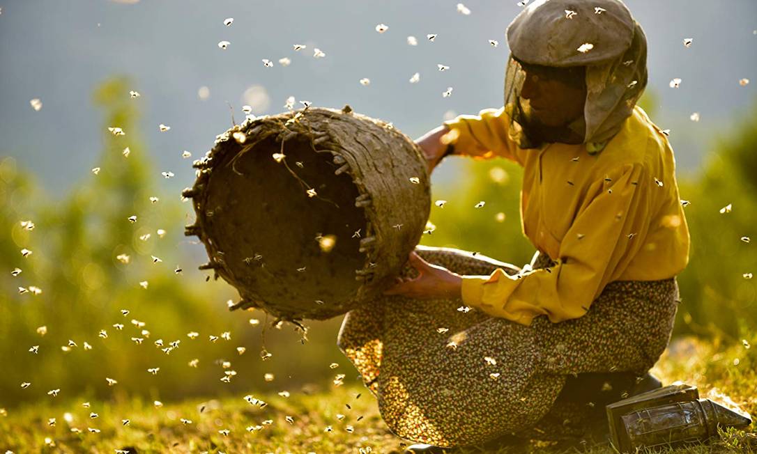 Honeyland — Um filme da Macedônia que mostra a saga da apicultora Hatidze, última caçadora de abelhas da Europa. Ela precisa convencer novos apicultores a respeitar a regra de ouro da atividade: pegar só metade do mel e deixar a outra parte para as abelhas. Eleito melhor documentário pela National Society of Film Critics (EUA) e pelo New York Film Critics Circle. Foto: Divulgação