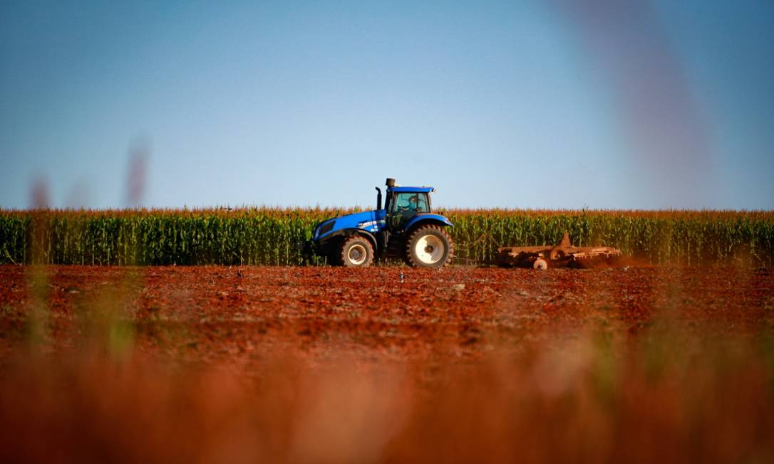 Produção de milho em fazenda próxima ao Distrito Federal, no Centro-Oeste: enquanto economia do país encolheu 1,5% no 1º trimestre do ano, a agropecuária cresceu 0,6% e deve ter alta de 3% em 2020, movida por exportações Foto: Pablo Jacob
