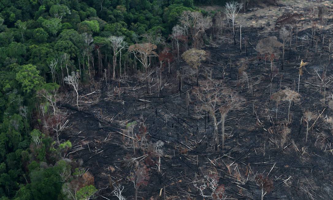 Área da Floresta Amazônica afetada pelas queimadas que chamaram a atenção do mundo em 2019 Foto: Ricardo Moraes / Reuters