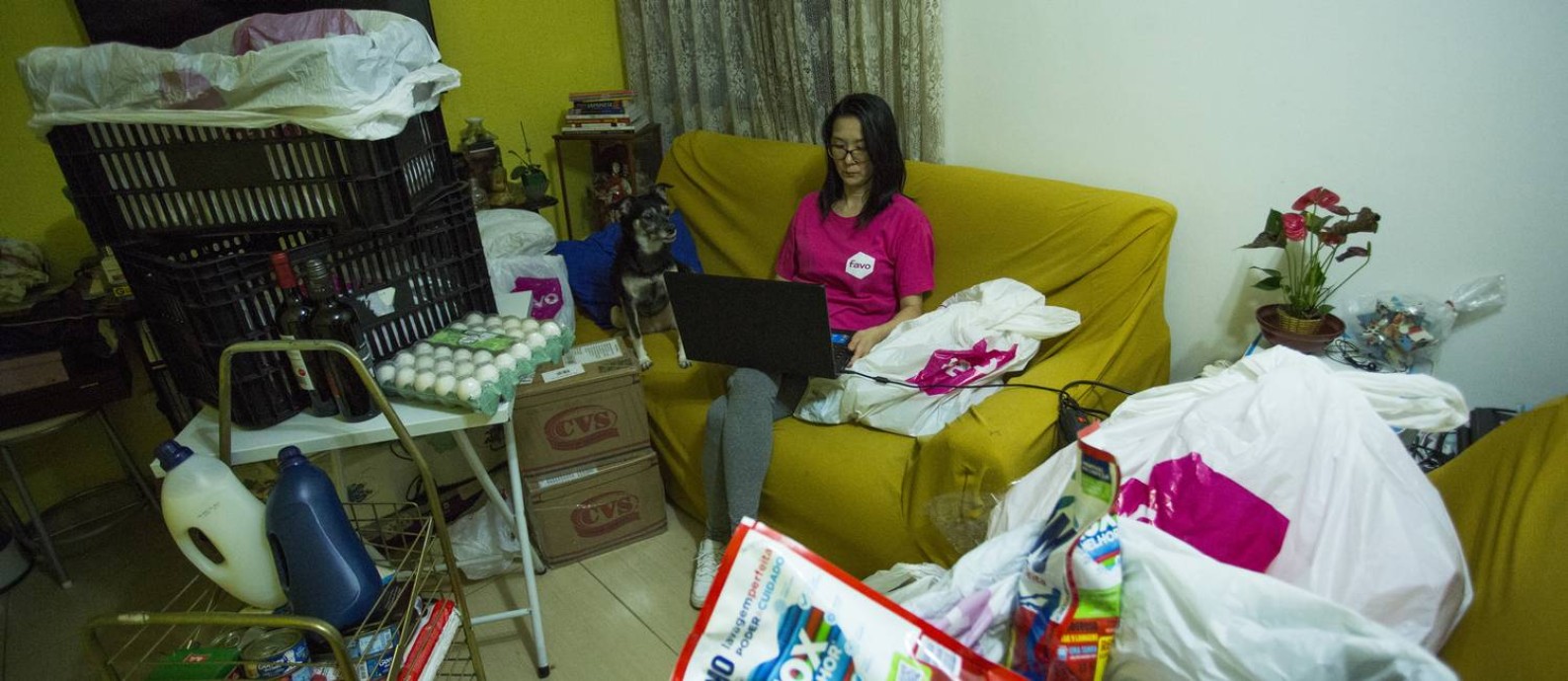A empreendedora Júlia Saito divite apartamento com as duas filhas, a mãe, um cachorro e com várias entregas, alojadas na sala Foto: Maria Isabel Oliveira / Agência O Globo
