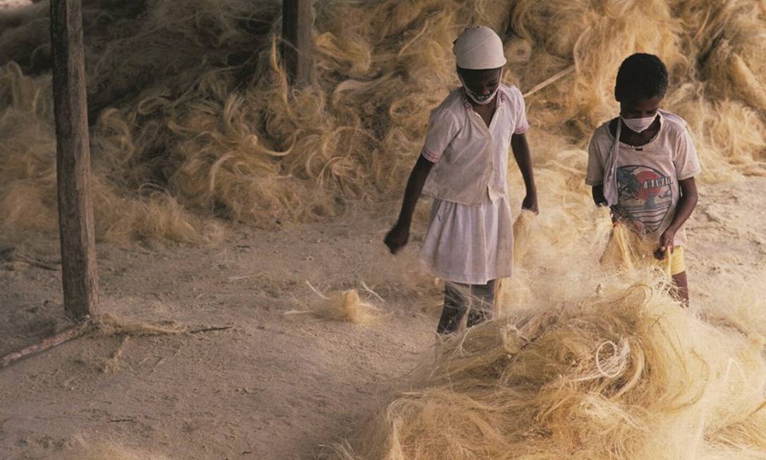 Crianças trabalham na indústria de sisal no interior da Bahia, em registro feito em 1987. Foto: Salomon Cytrynowicz / Pulsar Imagens