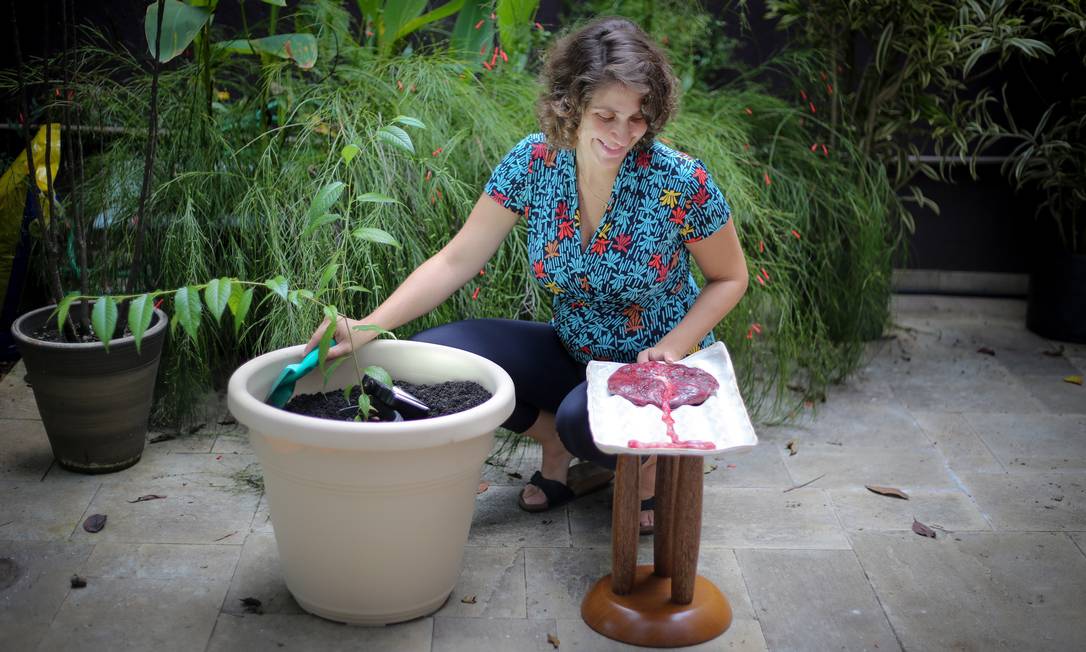 
Novos frutos. A ginecologista Carolina Maia usou a sua para adubar a terra ao plantar uma árvore em homenagem ao seu segundo filho, Tito, nascido há três semanas
Foto:
/
Marcos Alves
