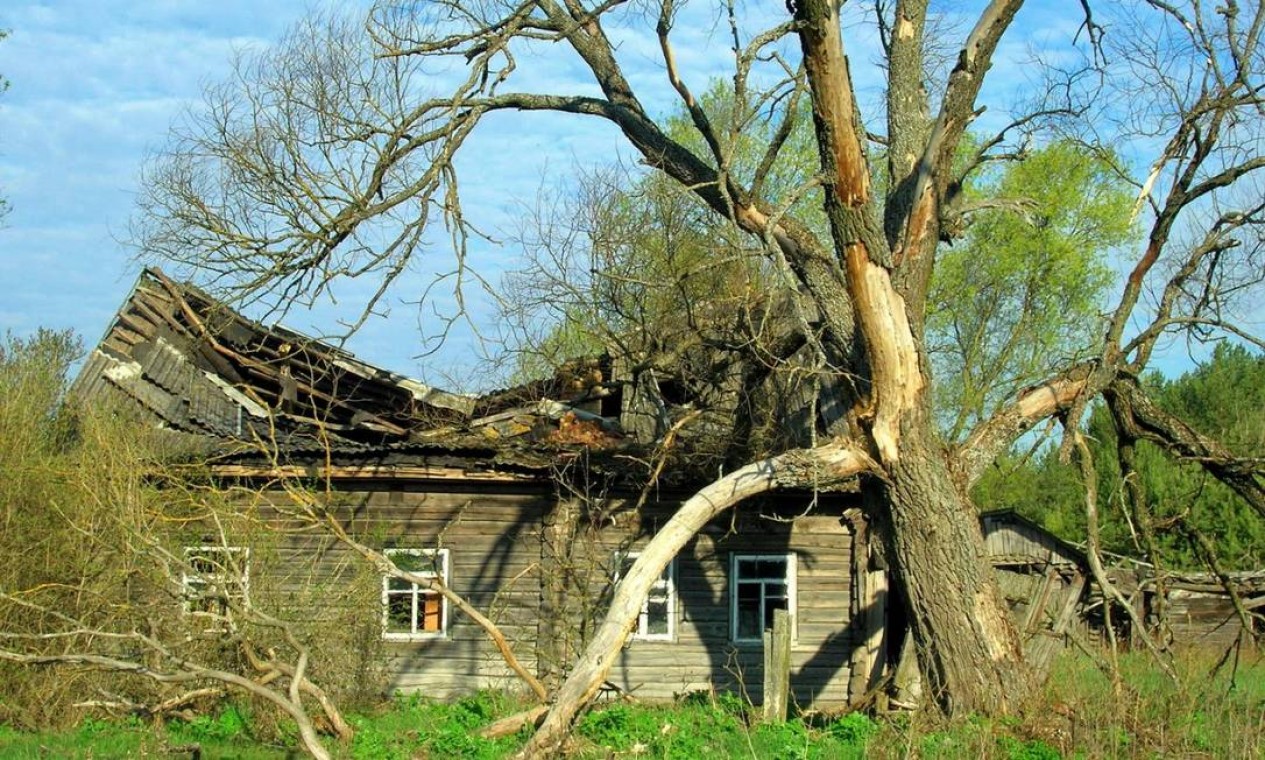Vida selvagem prospera nos arredores de Chernobyl, em registro de 2015 Foto: Valeriy Yurko / Valeriy Yurko