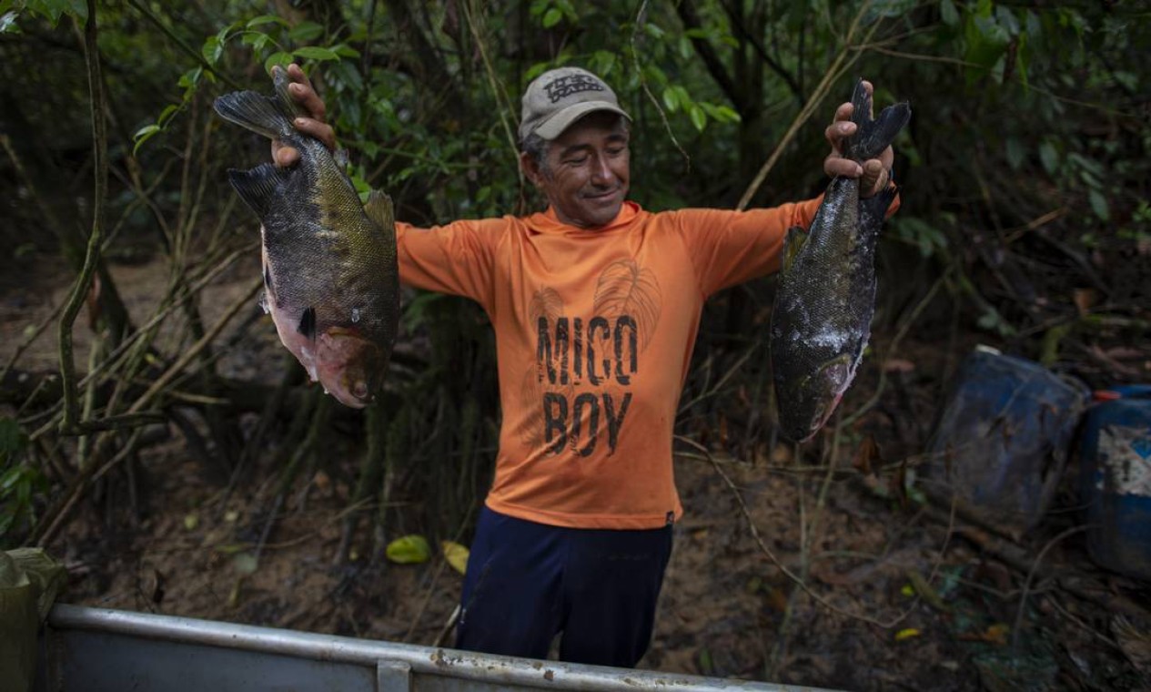 Garimpeiro exibe dois peixes que foram trocados por 1,5 grama de ouro. No garimpo e, principalmente, nas "currutelas", que são como locais de comércio e lazer do local, a moeda é o ouro: um frango, por exemplo, custa um grama, e as cozinheiras recebem 60 gramas de ouro como salário Foto: Daniel Marenco / Agência O Globo