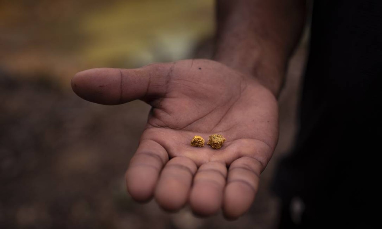 O garimpeiro Lourinho mostra o ouro que ganhou durante a última semana de trabalho. Garimpo ilegal está vivo no coração da maior reserva indígena do Brasil, a dos ianomâmis, em Boa Vista (RR) Foto: Daniel Marenco / Agência O Globo