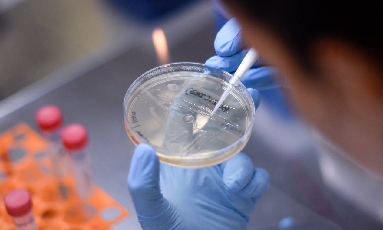 O Ministério da Saúde convocou o Centro Tecnológico de Vacinas da Universidade Federal de Minas Gerais a fim de diagnosticar, testar e desenvolver uma vacina Foto: DOUGLAS MAGNO / AFP