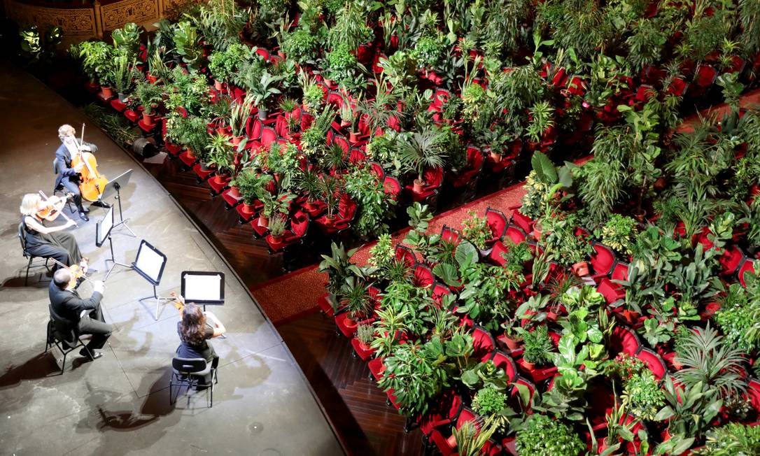 Cerca de 2.292 plantas de estufa que foram colocadas em cada assentoseriam doadas a profissionais de saúde na linha de frente do combate ao vírus Foto: NACHO DOCE / REUTERS