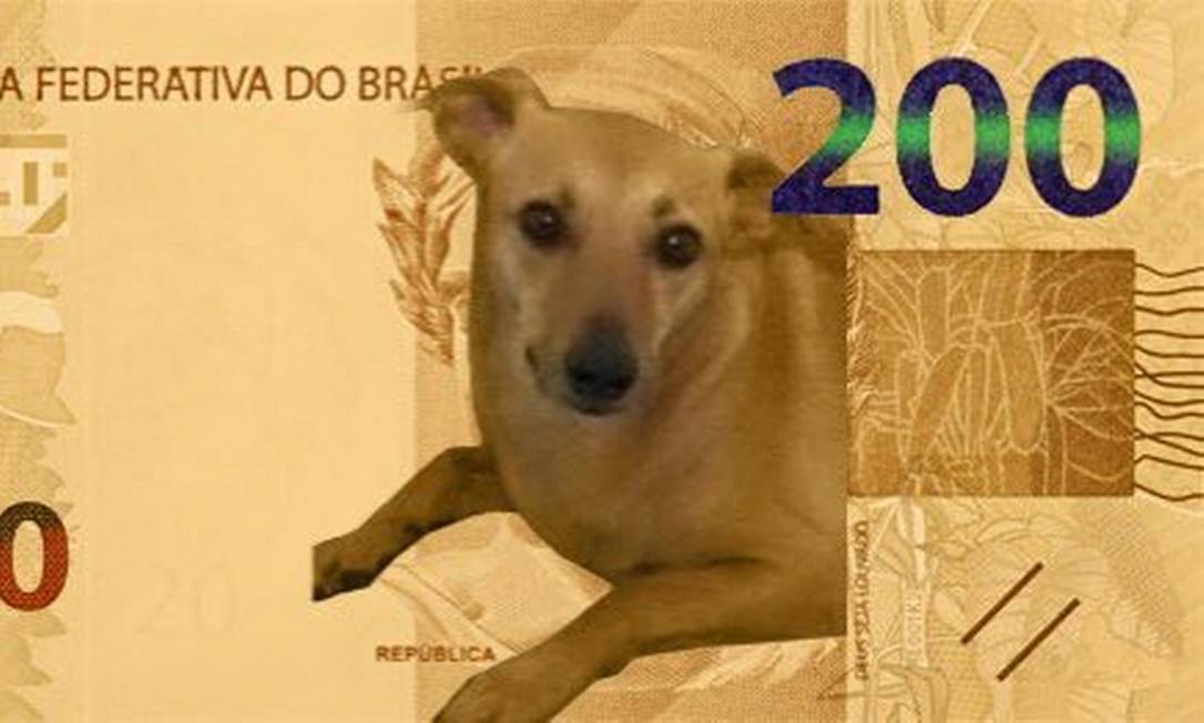 Oficialmente, a cédula de R$ 200 será ilustrada pelo lobo-guará. Mas internautas sugerem outros animais, como o vira-lata caramelo Foto: Reprodução / Twitter