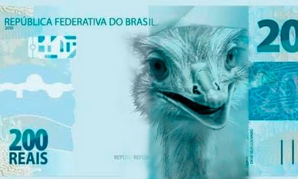 Ema. Animal ganhou destaque por conta do episódio em que picou o presidente Jair Bolsonaro Foto:  