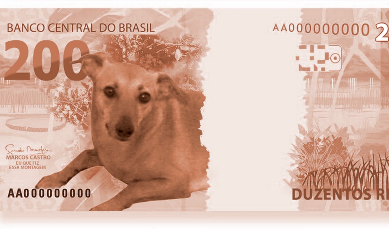 O vira-lata caramelo também aparece como candidato a substituto do lobo-guará na nova cédula de 200 reais Foto:  