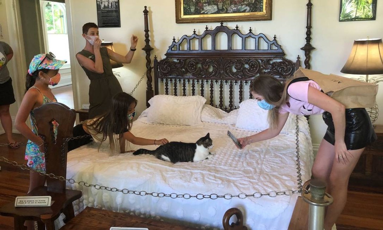 Visitantes brincam com um dos gatinhos que vivem no Ernest Hemingway Home and Museum, em Key West, na Flórida Foto: Leila Macor / AFP