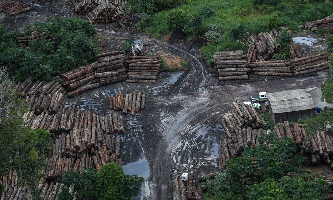 Extração de madeira na Amazônia: atividades ilegais avançam diante da redução de gastos públicos com fiscalização ambiental Foto: Agência Brasil