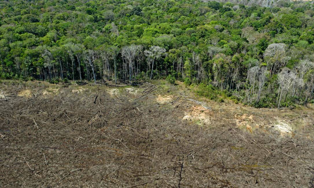 Área desmatada perto de Sinop, Estado de Mato Grosso, Brasil, em agosto de 2020 Foto: Florian Plaucheur / AFP