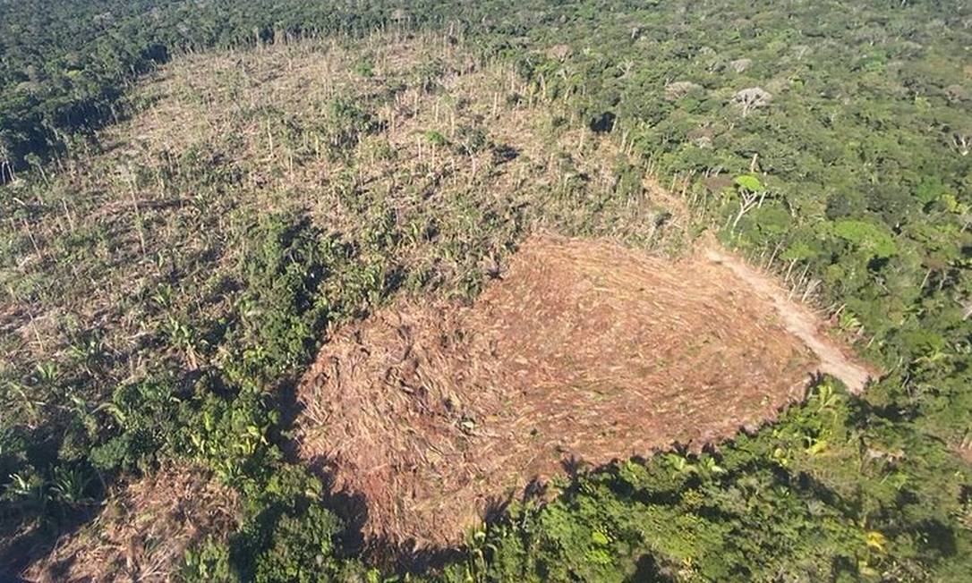 Desmatamento da Amazônia: empresas europeias querem mais rigor na cadeia produtiva. Na foto, registro aéreo de floresta desmatada em Apuí, município do interior do Amazonas Foto: Divulgação/Operação Verde Brasil/22-06-2020