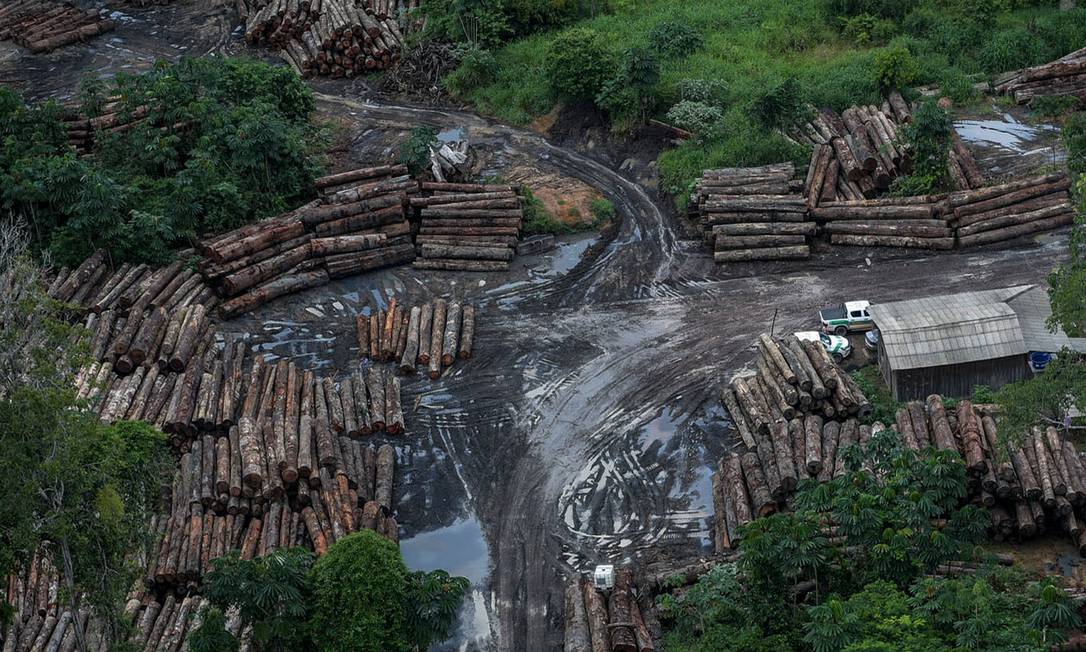 Desmatamento na Amazônia cresce em março Foto: Agência Brasil / Agência O Globo