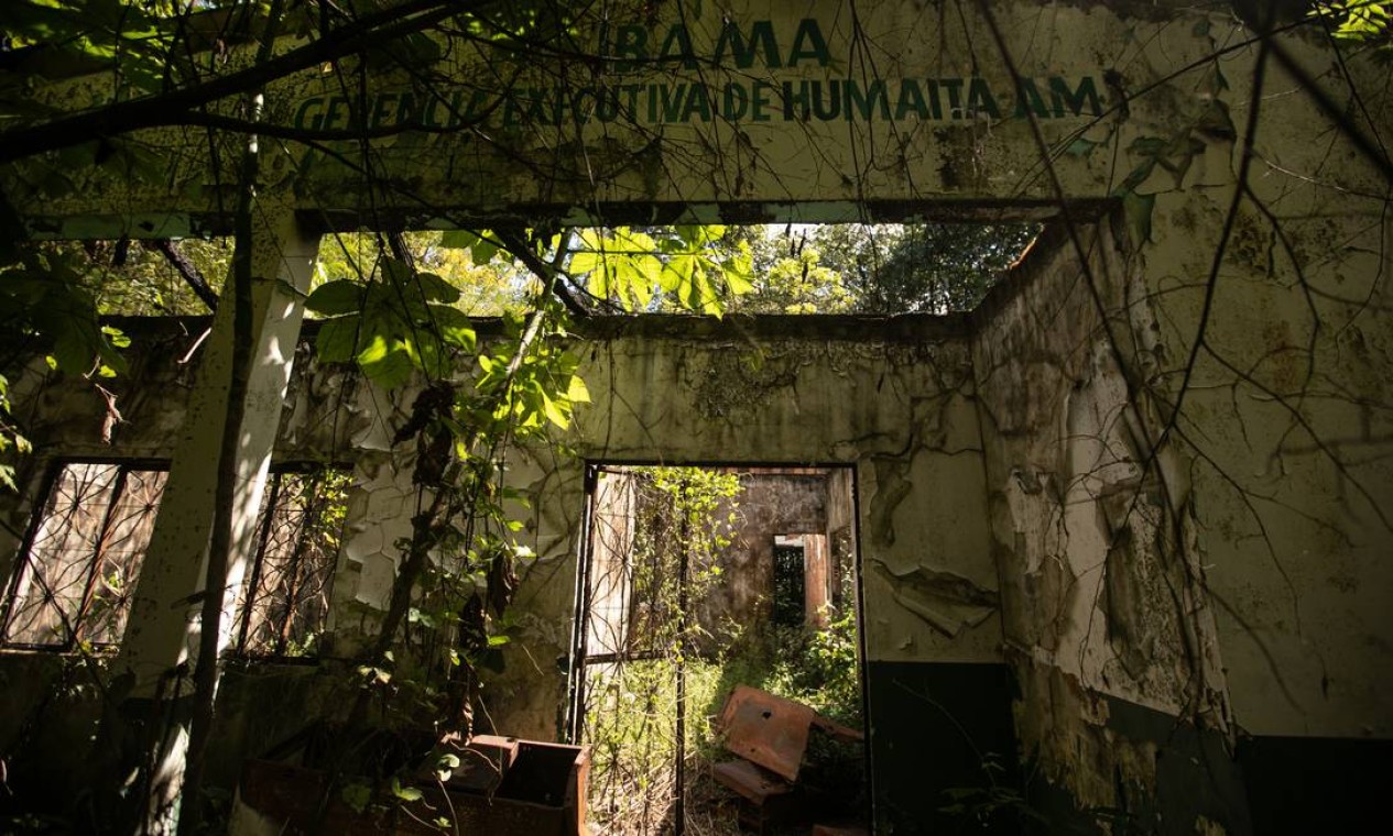 Com desmonte da fiscalização, número de multas aplicadas pelo Ibama em operações na Amazônia caiu 44% nos dois primeiros anos da gestão Ricardo Salles Foto: Brenno Carvalho / Agência O Globo