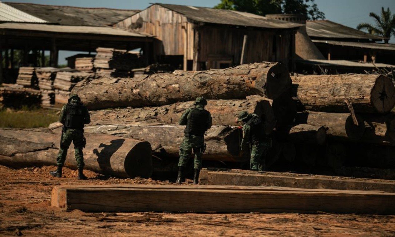 Operação da Polícia Federal em madereira na comunidade conhecida como Realidade, próxima a Humaitá Foto: Brenno Carvalho / Agência O Globo