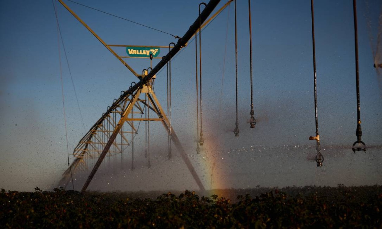 Fazenda Dois Irmãos, no Oeste da Bahia: produtores investem em irrigação, maquinário e tecnologia para adaptar a terra do Matopiba e elevar produtividade Foto: Pablo Jacob / Agência O Globo