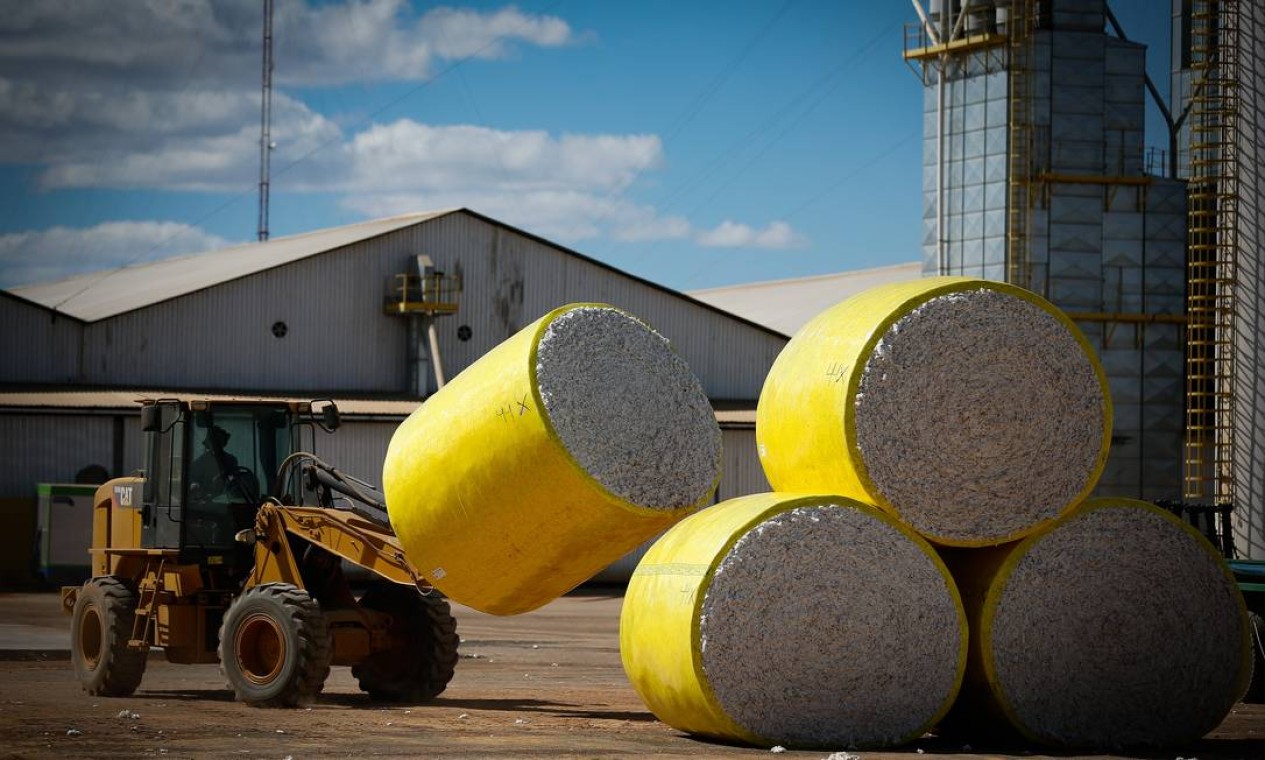 Processamento de algodão na Fazenda Eliane, em São Desidério, no Oeste da Bahia Foto: Pablo Jacob / Agência O Globo