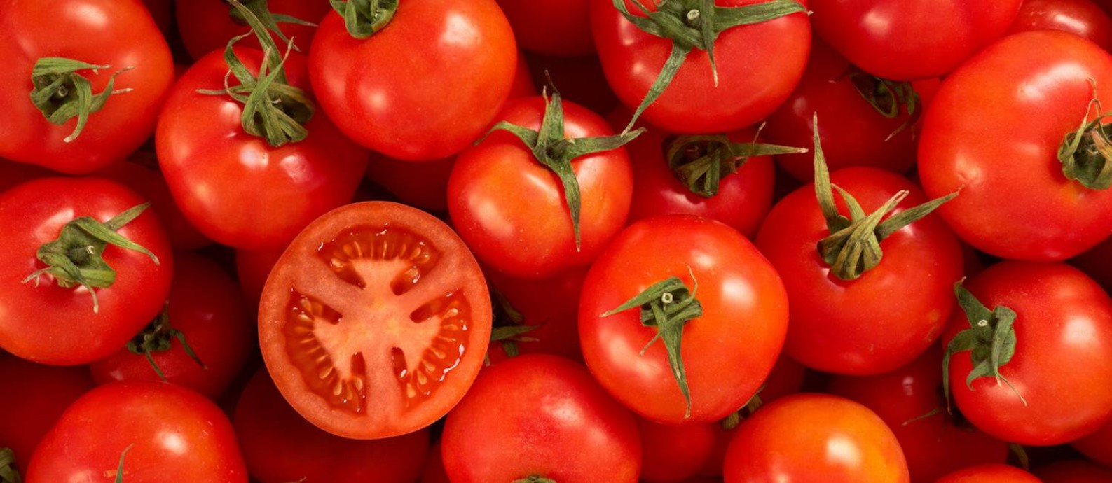 O tomate foi um dos itens que mais subiram no supermercado nos últimos meses Foto: hdagli / Getty Images