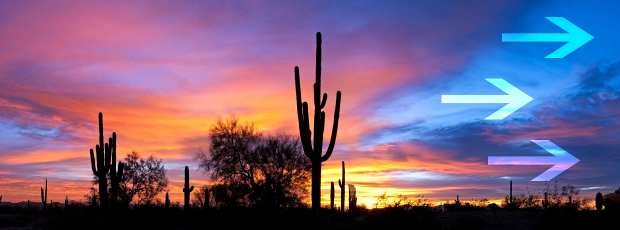 Saguaro Cactus against Sonoran Desert