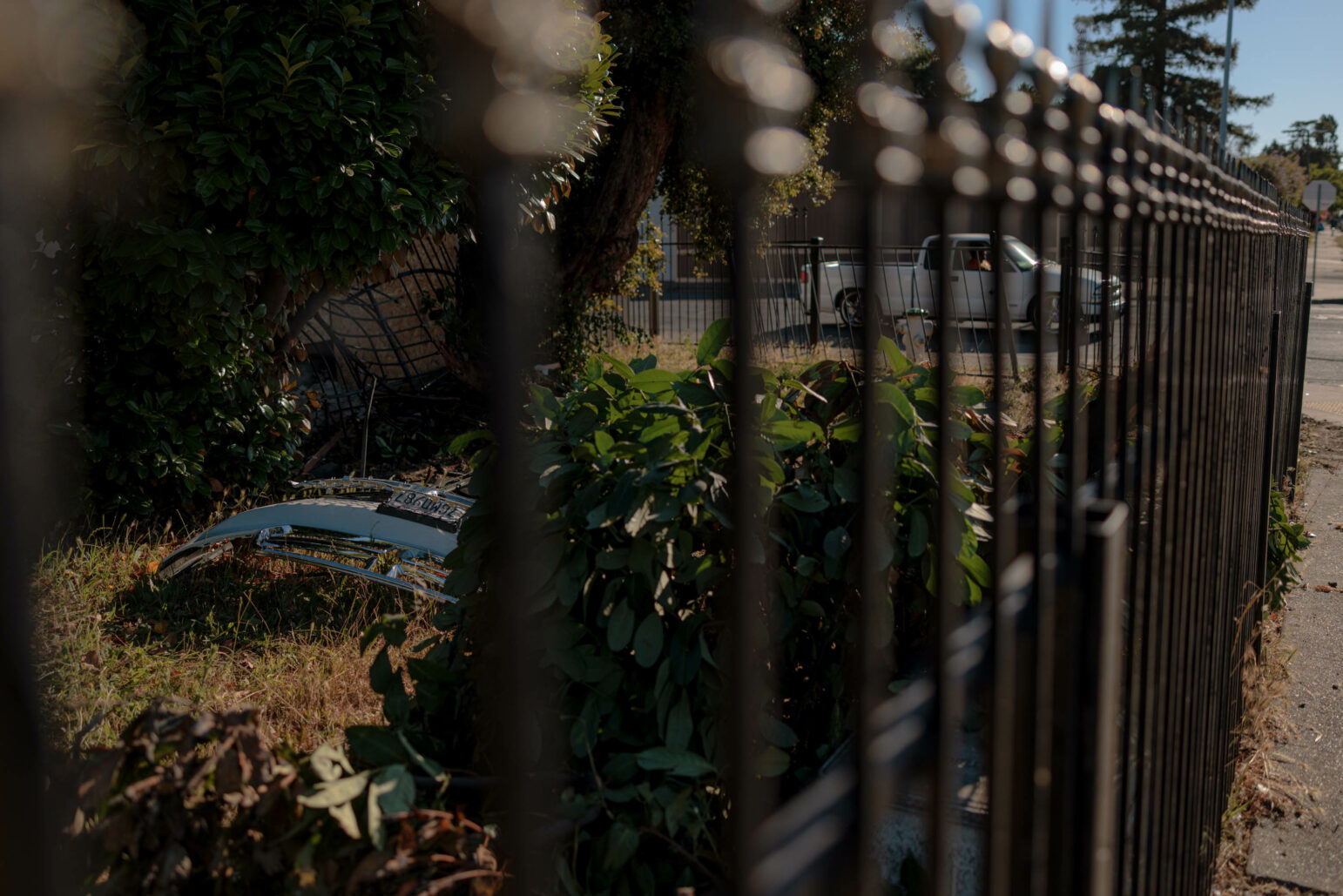 A close-up view of a damaged area behind a metal fence. Vegetation and parts of a broken car, including a bumper and a license plate, are visible among the bushes. In the background, a white pickup truck is driving along the street.