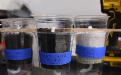 UH Hilo Students Research Hawaiian ‘Canoe Plants’ to Support NASA Moon Missions