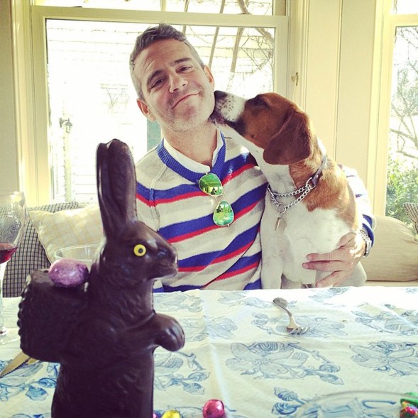 Here's hoping Andy Cohen's adorable pup didn't eat any of that chocolate.