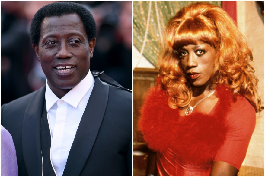 Wesley Snipes in "To Wong Foo, Thanks for Everything, Julie Newmar"