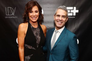 luann de lesseps and andy cohen