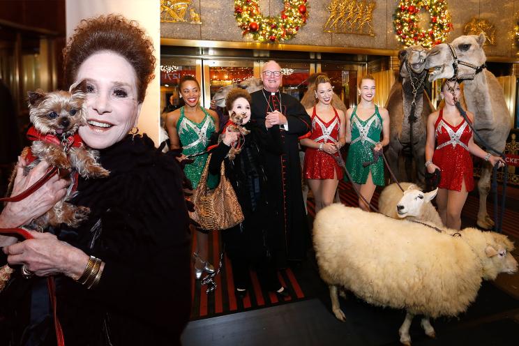 Cindy Adams and the Radio City Rockettes join Cardinal Timothy Dolan as he blesses the animals from The Christmas Spectacular's "Living Nativity" scene at Radio City Music Hall.