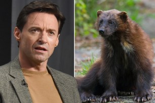 Hugh Jackman and a wolverine