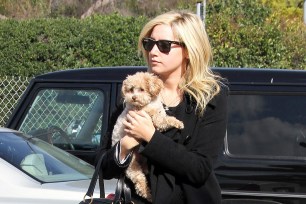 Ashley Tisdale carries Maui while running errands in 2010.