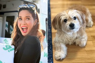 Olivia Munn and Benny the rescued shorkie