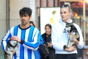 Joe Jonas and Sophie Turner walk their dogs Waldo and Porky in March.